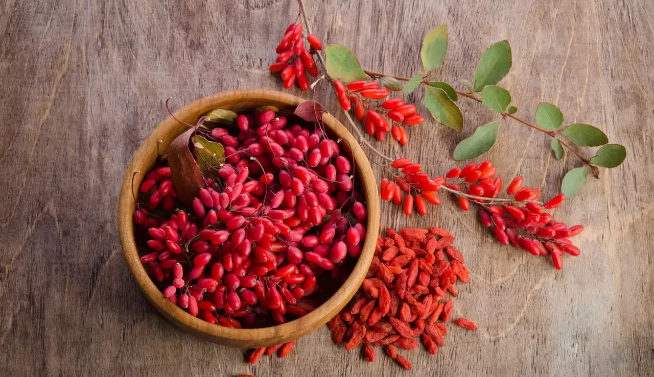 Berberina: O que é e para que serve