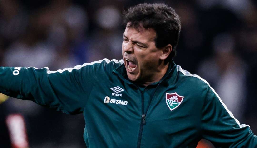 Fernando Diniz é o técnico com mais expulsões no ano