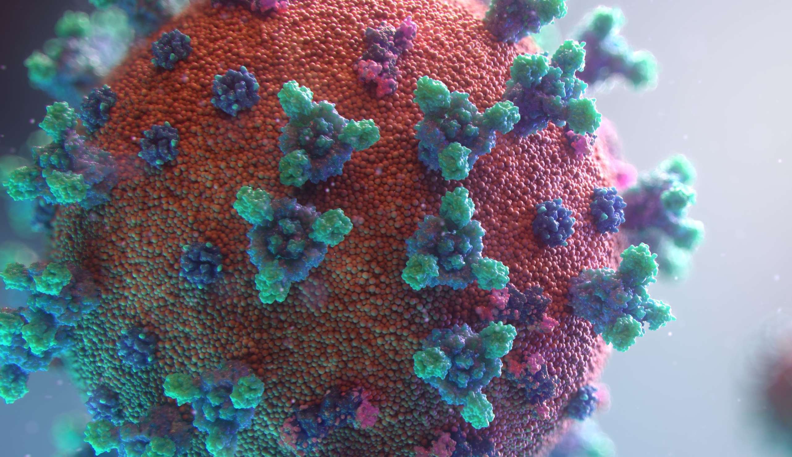 Óbitos pela Covid-19 seguem em queda no DF