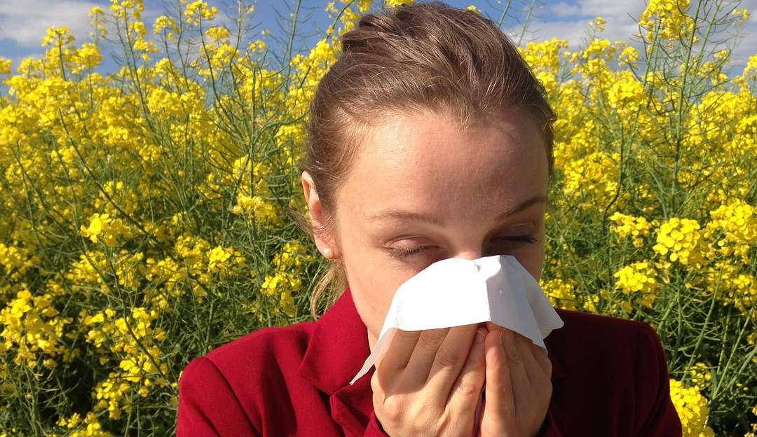 40% da população mundial sofre com algum tipo de alergia, aponta OMS