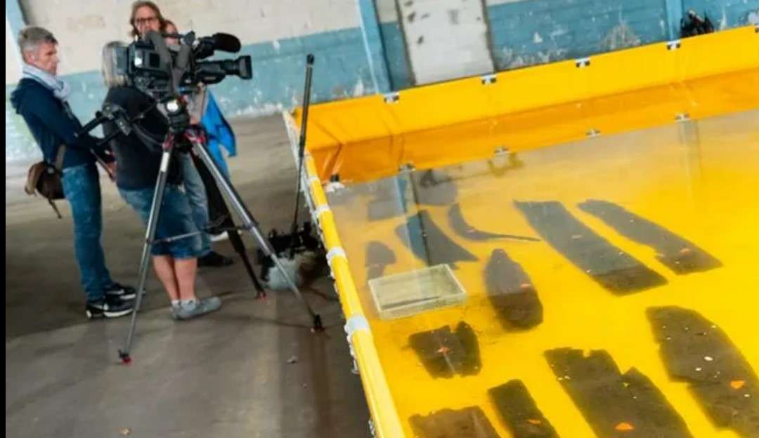 Navio naufragado revela vida na Europa no século 17