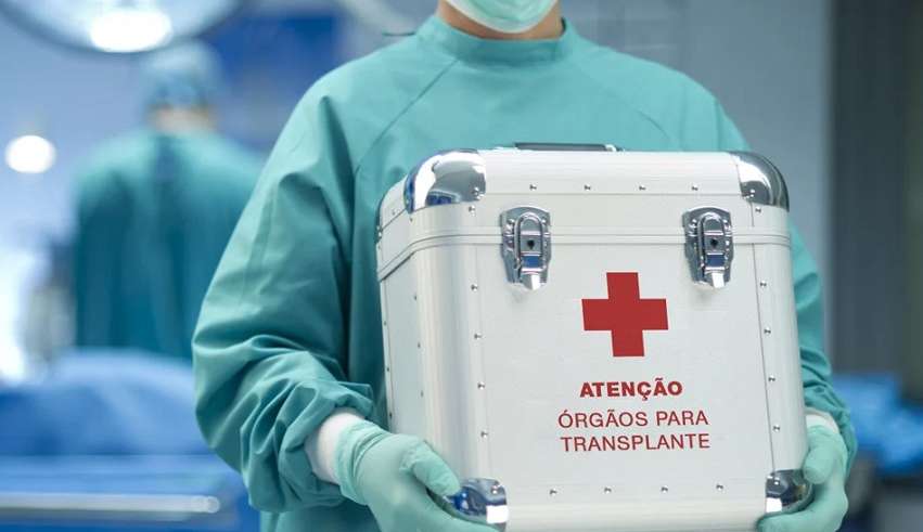 Técnica revive órgãos para transplante; entenda a polêmica