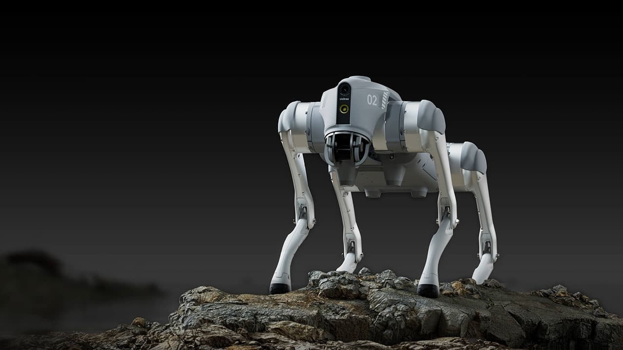 Cão robótico de alta tecnologia pode ser seu pet no futuro