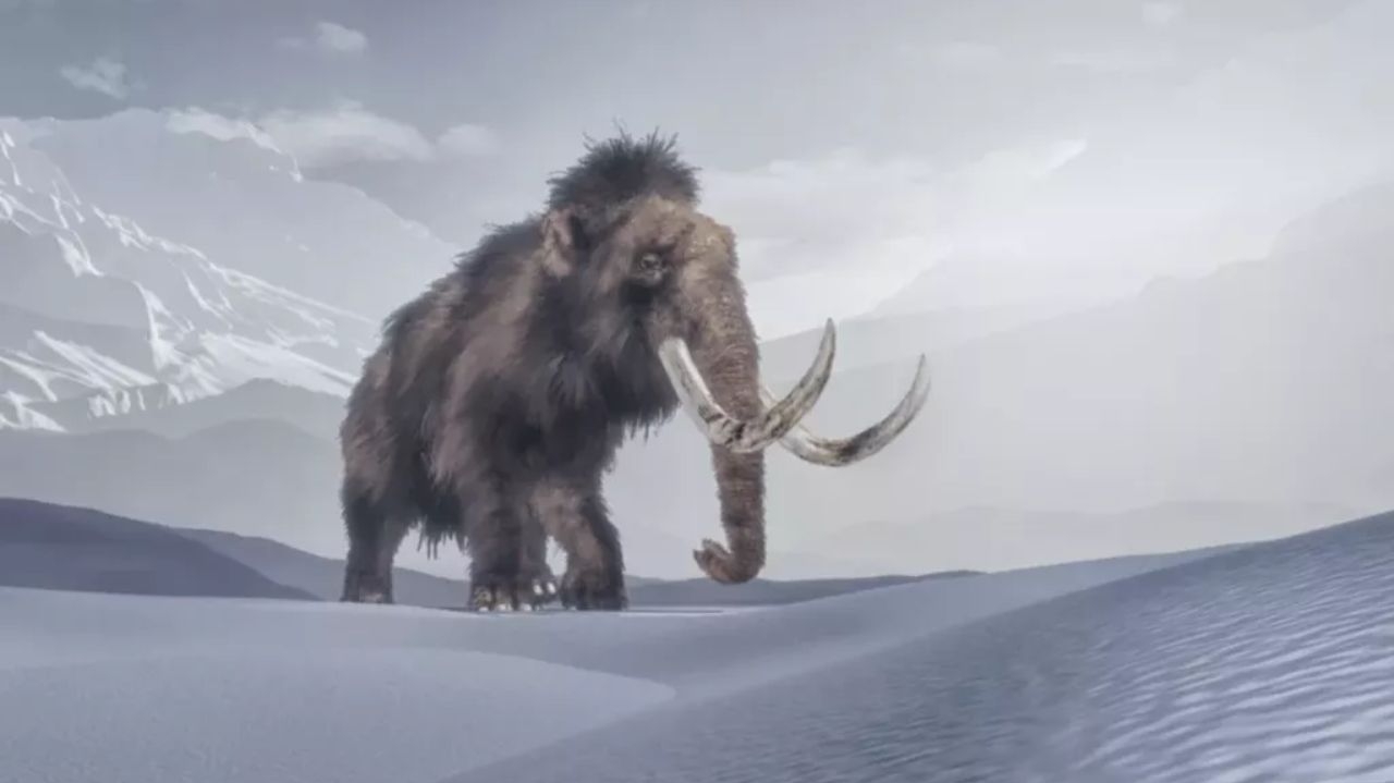 Startup de biotecnologia quer usar IA para ‘reviver’ mamute