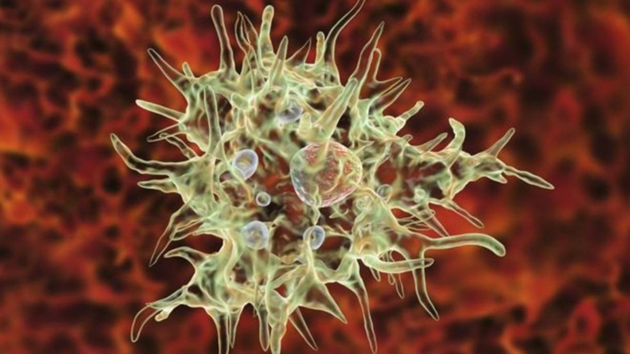 Ameba rara que come o cérebro faz mais uma vítima nos Estados Unidos