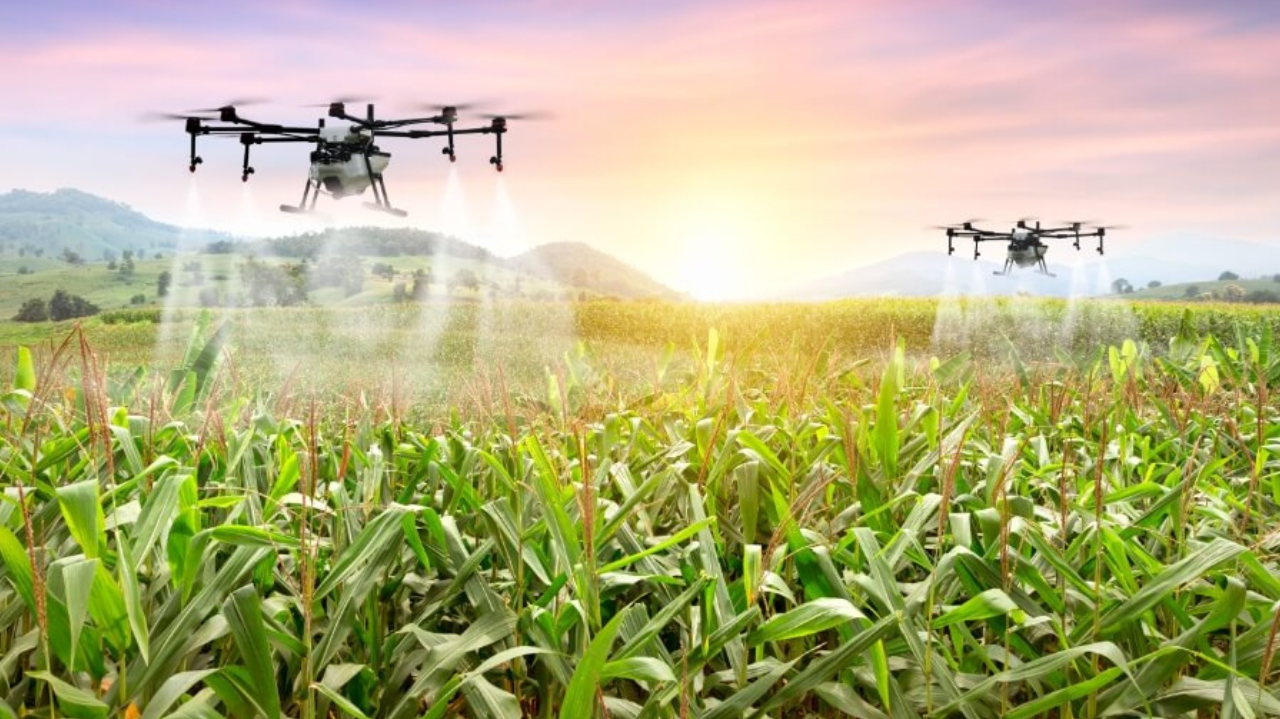 Globalização da IA: Fundação Gates financia 50 projetos que vão da saúde à agricultura