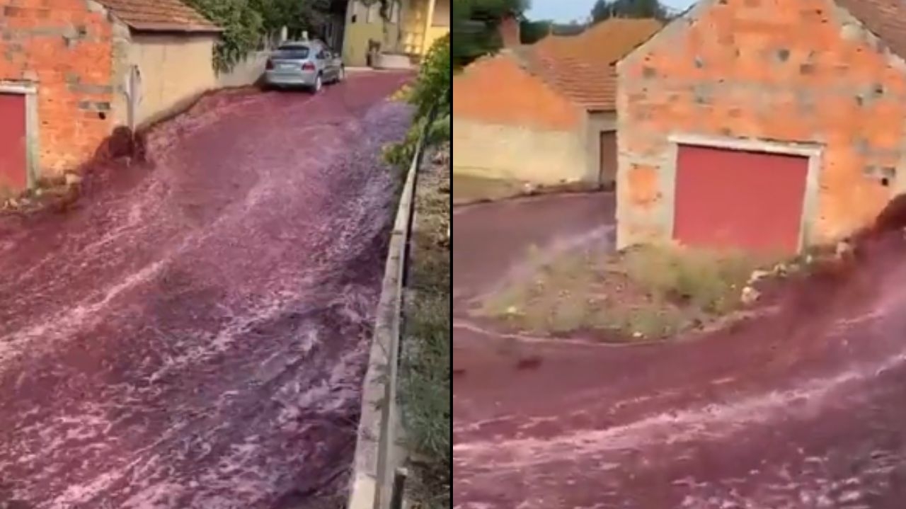 Destilaria em Portugal tem rompimento de depósito e ruas ficam alagadas com vinho