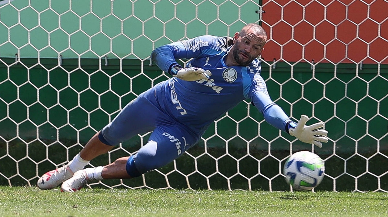 Palmeiras finaliza preparação para enfrentar o Grêmio e visa aumentar sequência de jogos sem sofrer gols