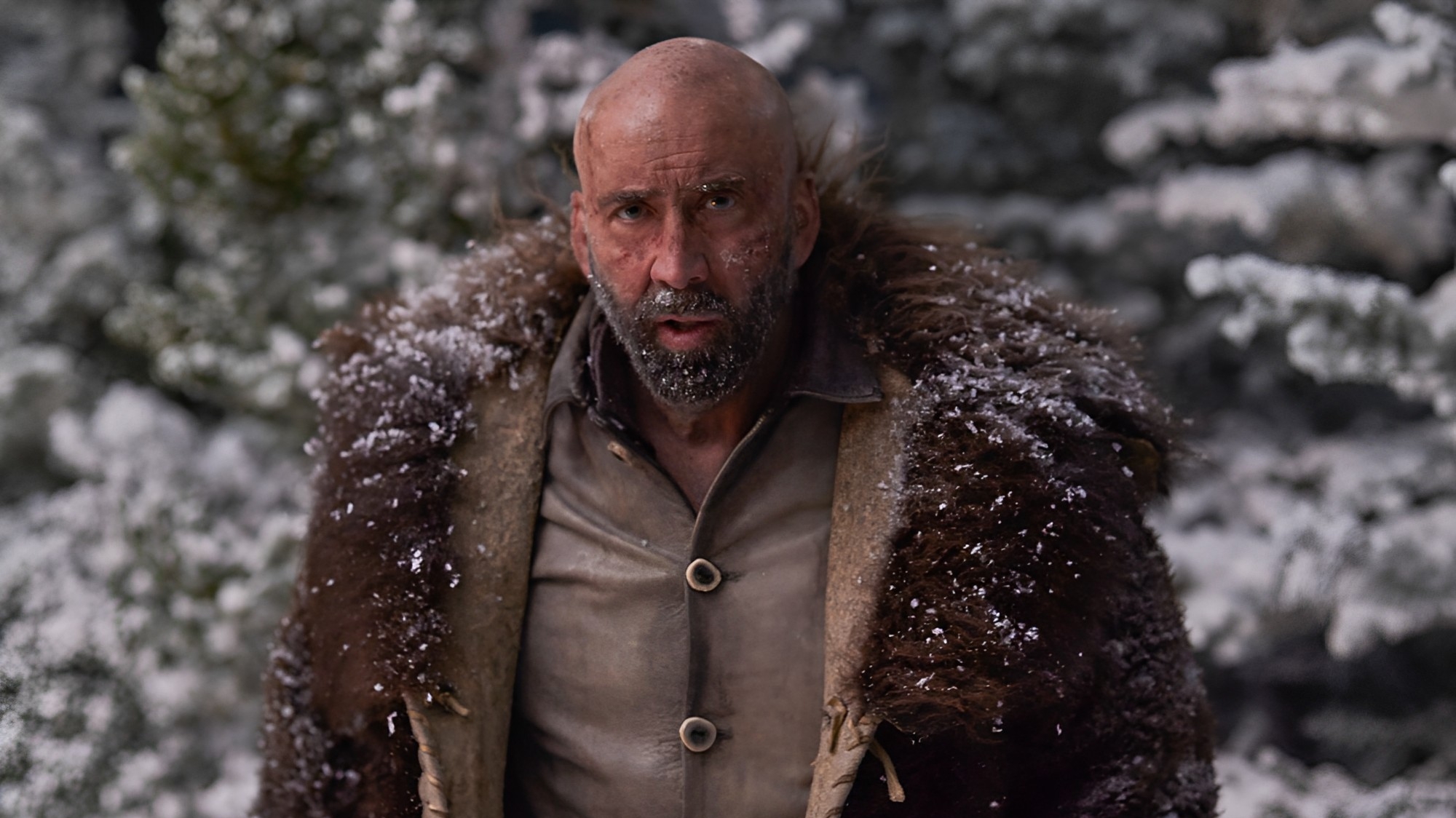 “Butcher”s Crossing”: Nicolas Cage dá vida à caçador de búfalos