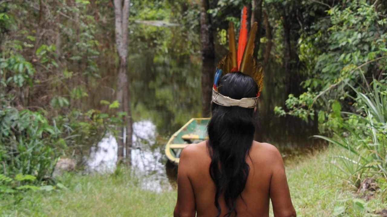 Garimpeiros amarram indígenas a troncos dentro de reserva yanomami