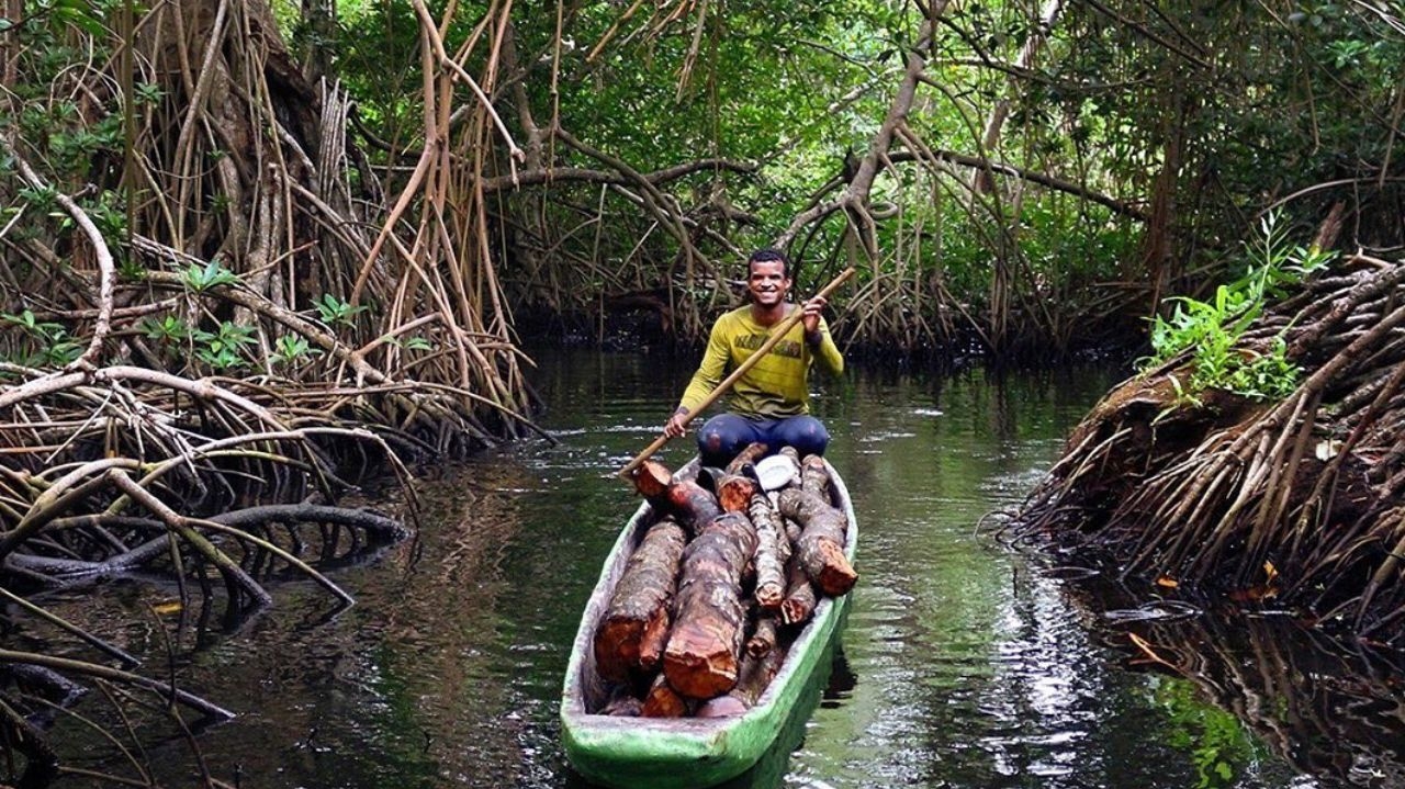 Confira algumas ações da indústria da moda para reduzir o impacto ambiental