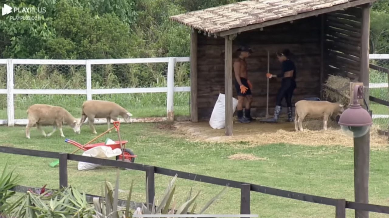 A Fazenda 15: Yuri afirma: “Radamés acabou com André”