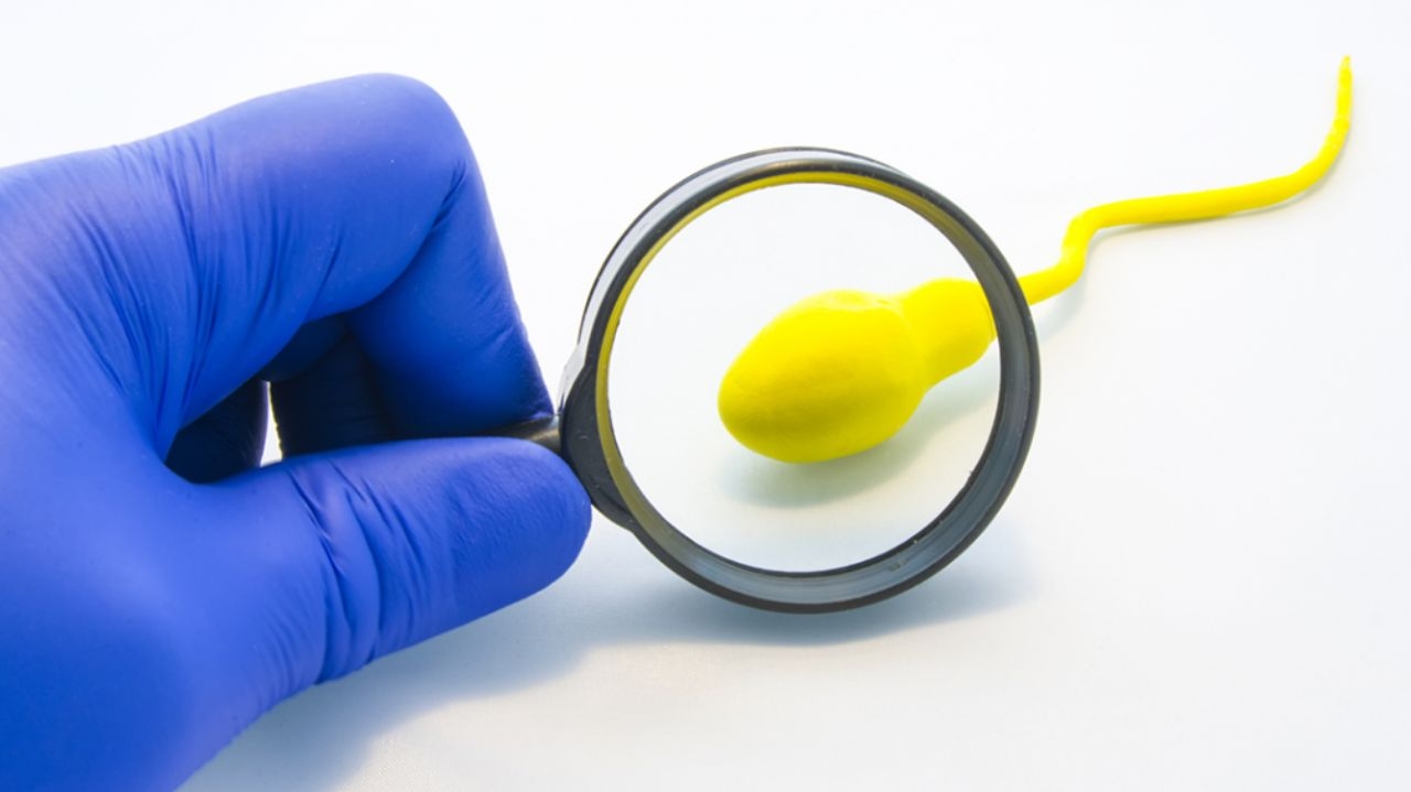 Vasectomia no SUS: entenda o funcionamento, custos e regras do procedimento