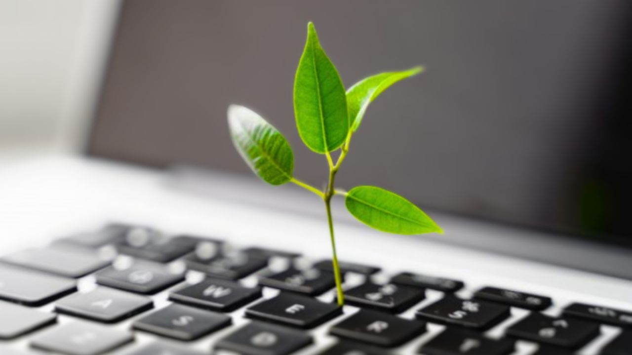 Empresas de capital aberto deverão publicar relatórios sustentáveis a partir de 2026