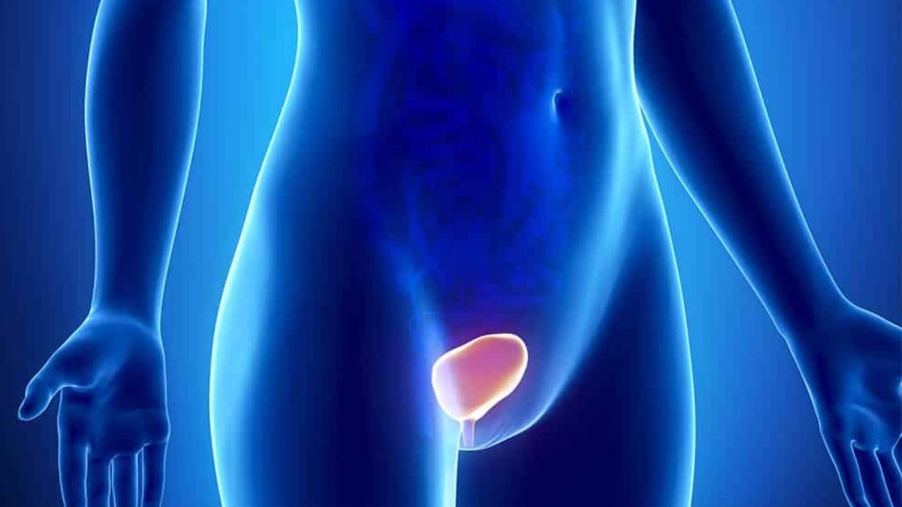 Prolapso genital: entenda a condição que afetou Marília Gabriela