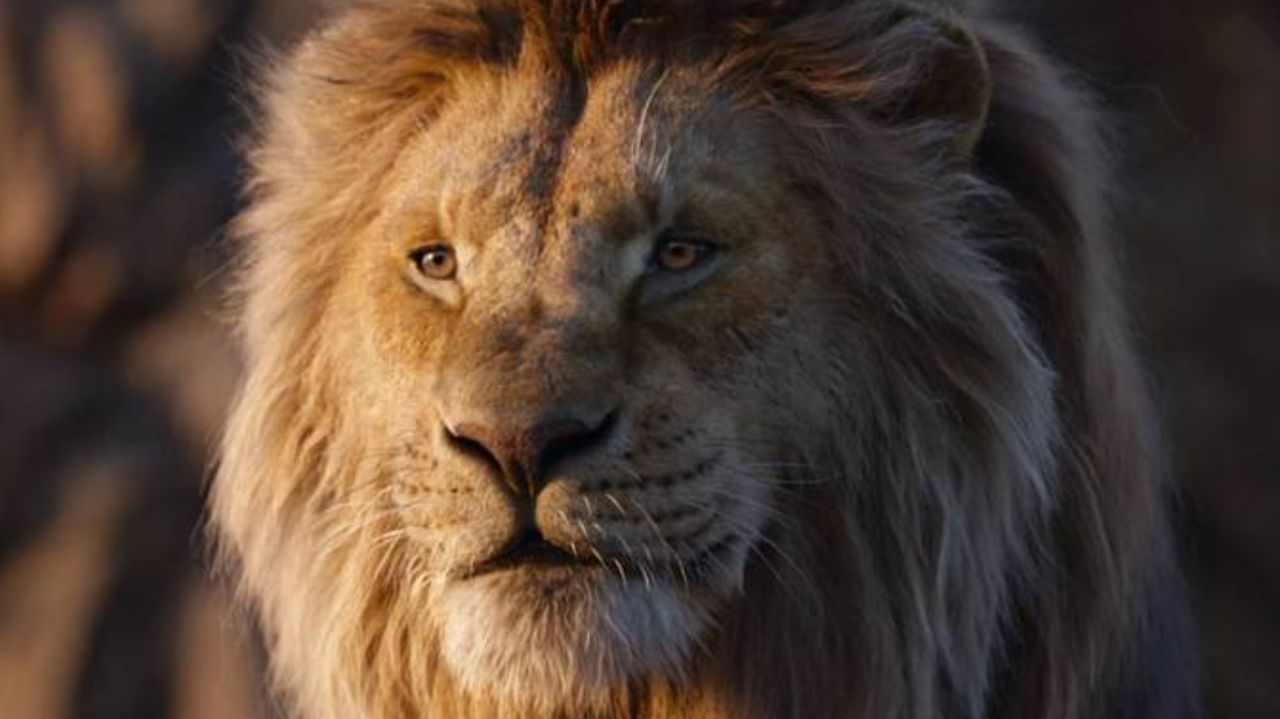 Sequência de Rei Leão será adiada para dezembro de 2024