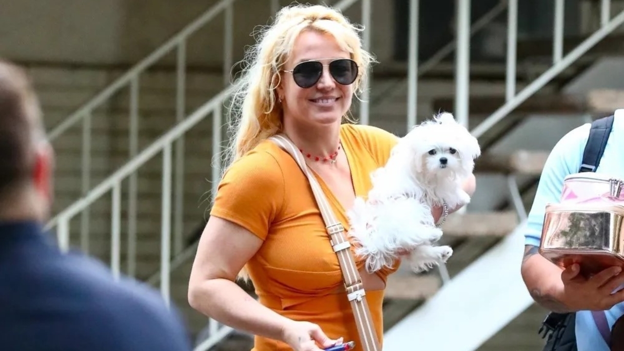 Britney Spears reaparece em público após o lançamento de sua biografia