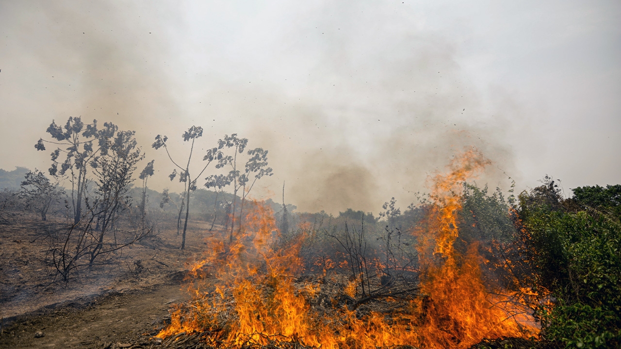 Inpe relata 107 incêndios florestais na Bahia em apenas 48 horas