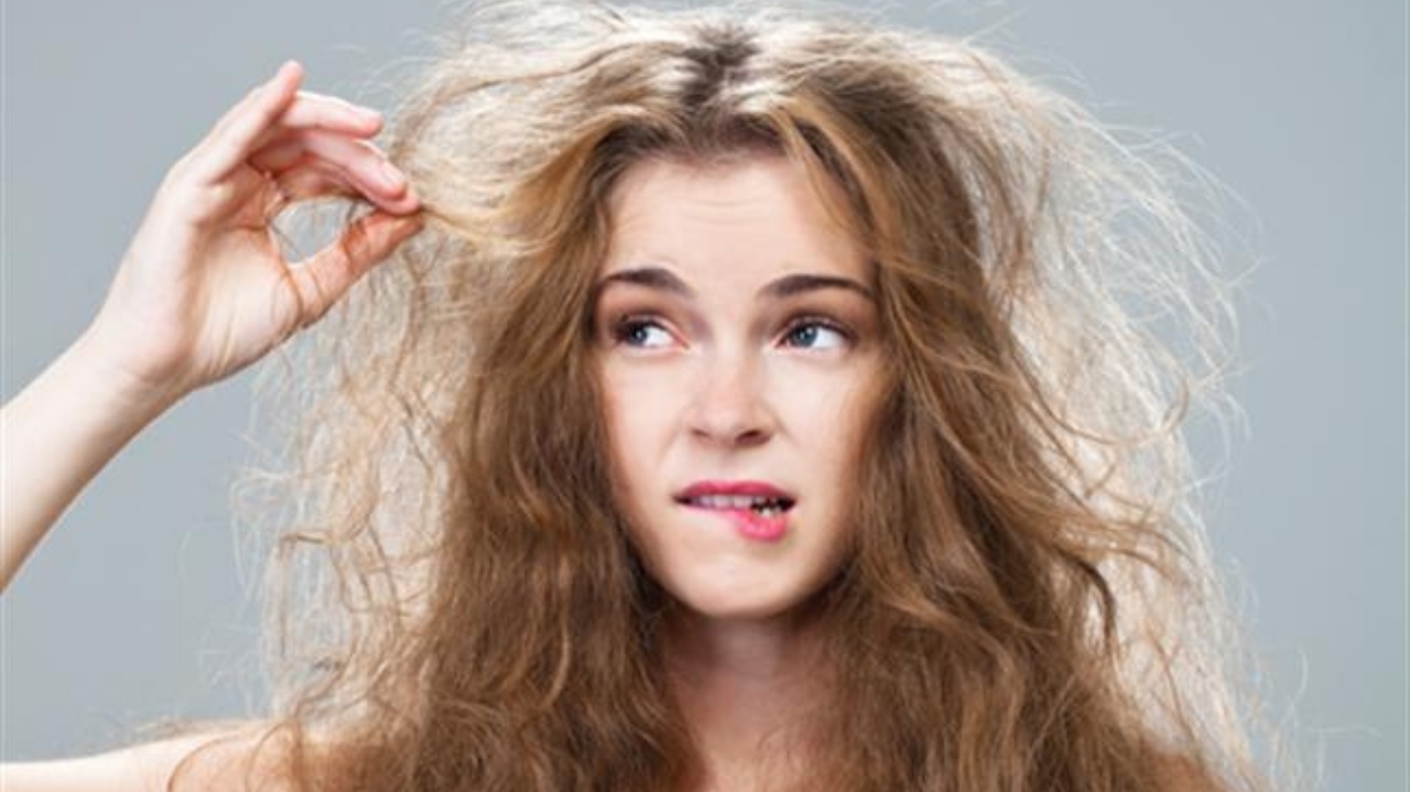 Cabelos ressecados e com frizz: estratégias eficazes para recuperar a vitalidade capilar