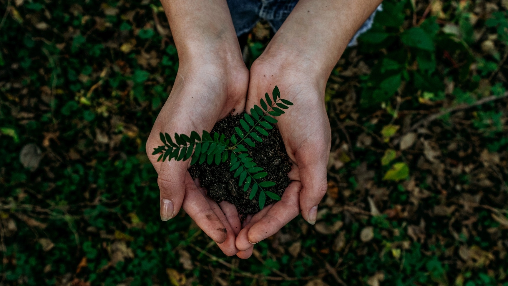 Energia limpa: investimento recorde de US$ 1,7 trilhão impulsiona Brasil no setor global