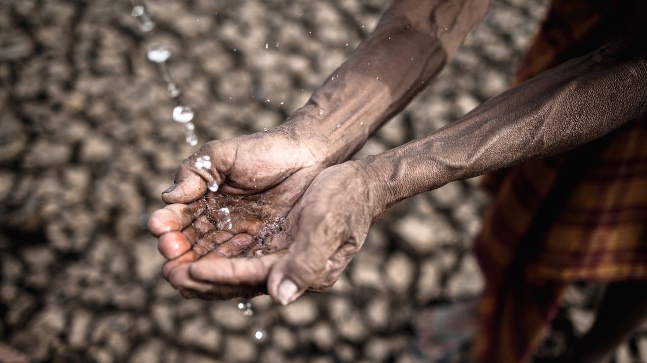 Governo resgata mais de 3000 trabalhadores em situação de trabalho análogo à escravidão