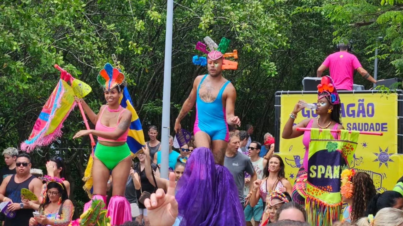 Confira algumas fantasias do pré-carnaval no Rio de Janeiro