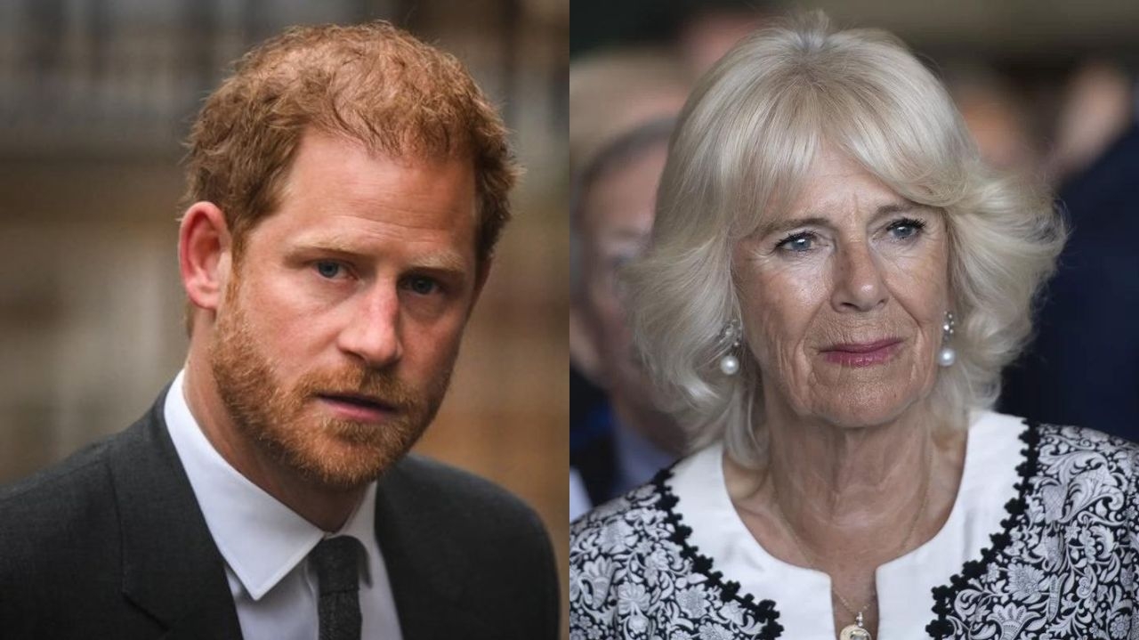 Príncipe Harry evitou Camilla durante seu reencontro com o rei Charles III