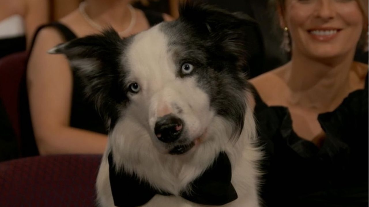 Messi chama a atenção com “aplausos” durante a cerimônia do Oscar 2024