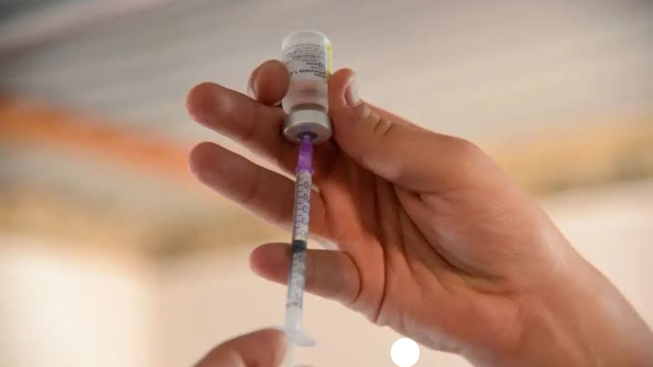 Vírus Chikungunya pode causar danos cerebrais e afetar múltiplos órgãos; pesquisadores alertam para cuidados