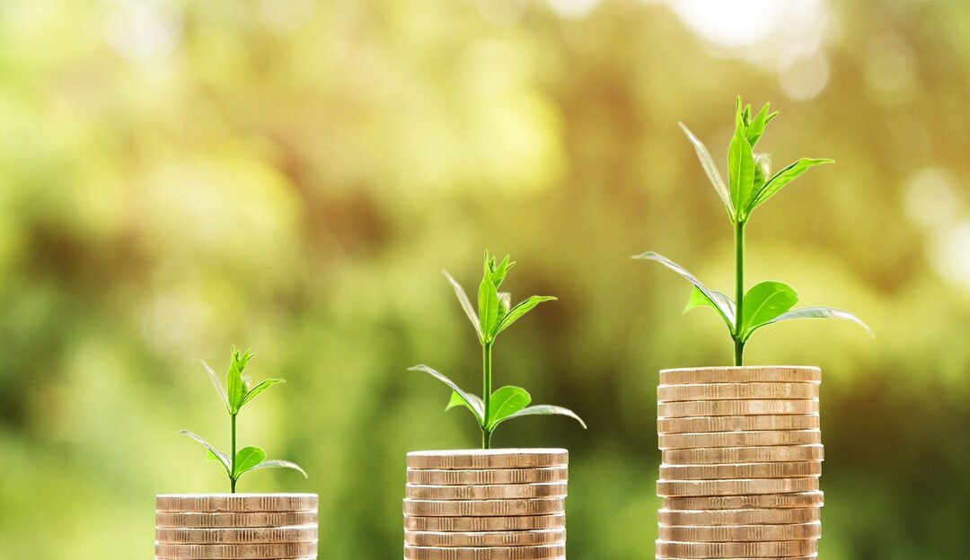 Investidores requerem padrões para produtos financeiros sustentáveis