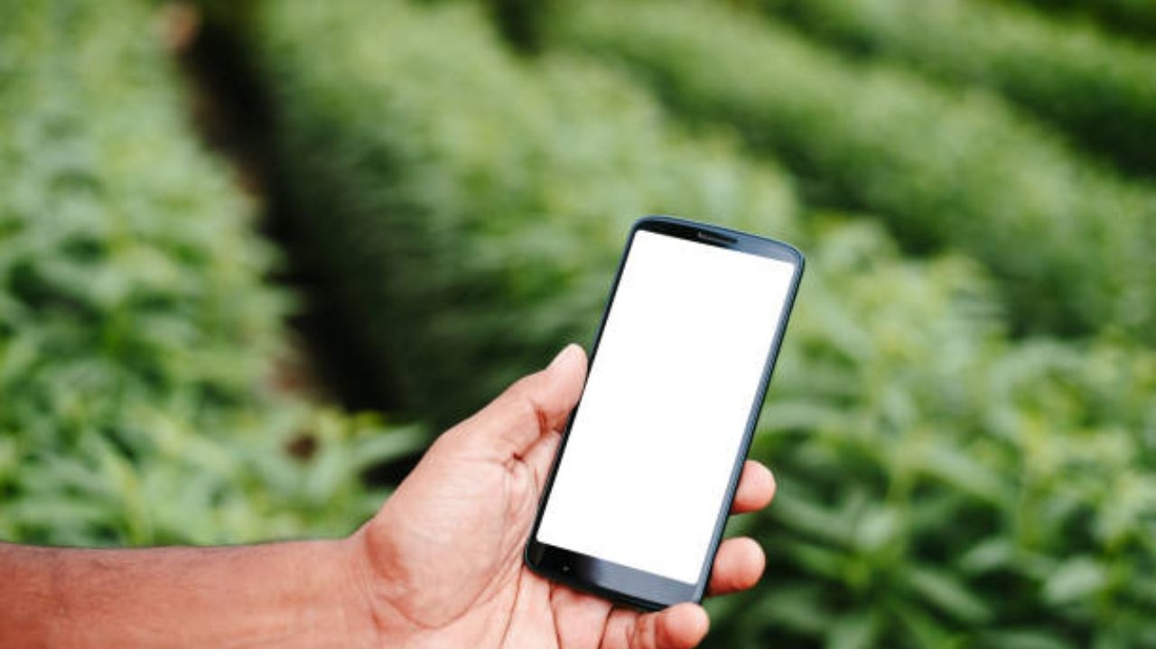 Criminosos aplicam golpe de exame admissional em trabalhadores desempregados