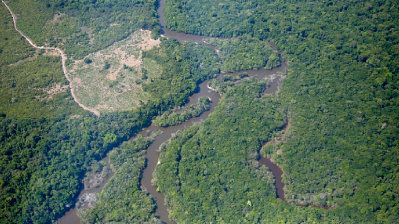 Brasil anuncia investimento de R$ 730 milhões para frear desmatamento na Amazônia
