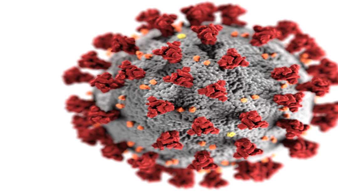 Pandemia: Brasil atinge o 10° dia com média móvel abaixo de mil mortes