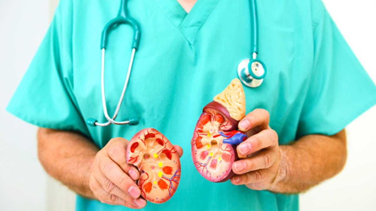 Vacina oral pode oferecer proteção prolongada contra infecção urinária, revela estudo