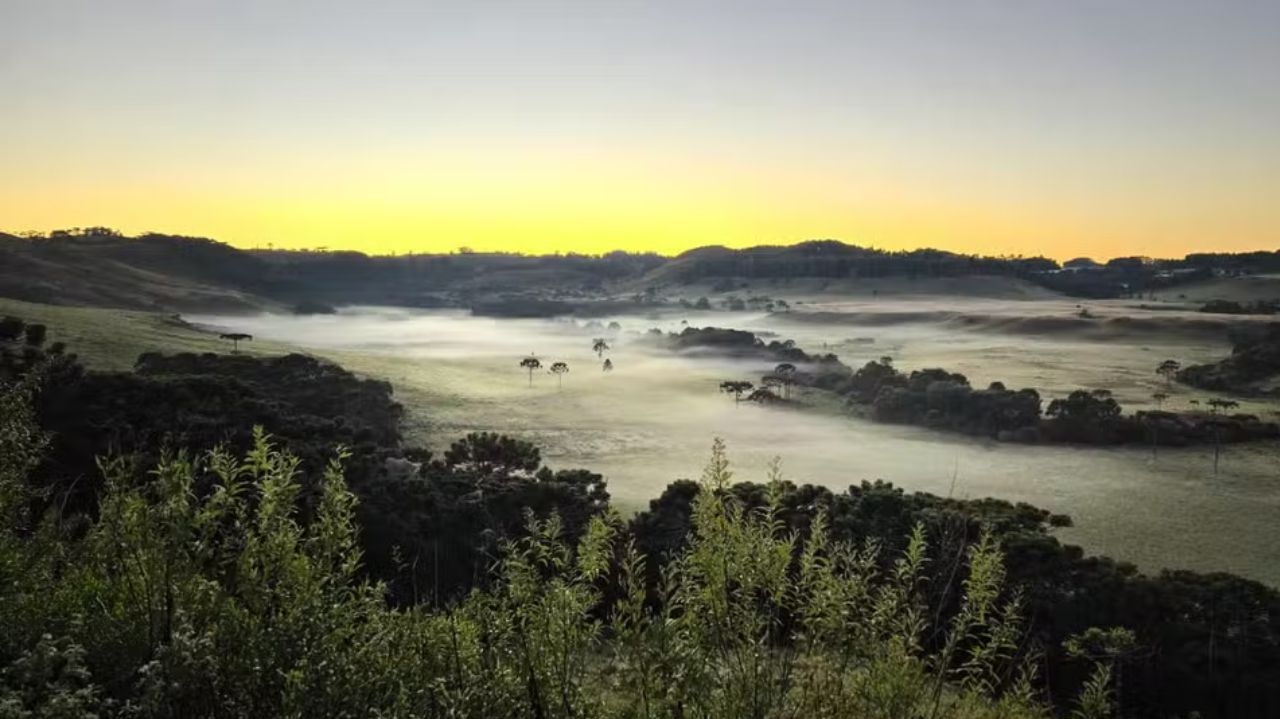 Serra catarinense amanhece com geadas e temperaturas próximas de 0°C