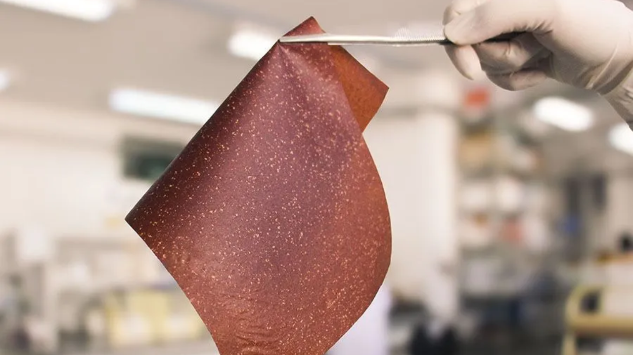 Pesquisadores transformam cascas de banana em embalagens ativas de alimentos