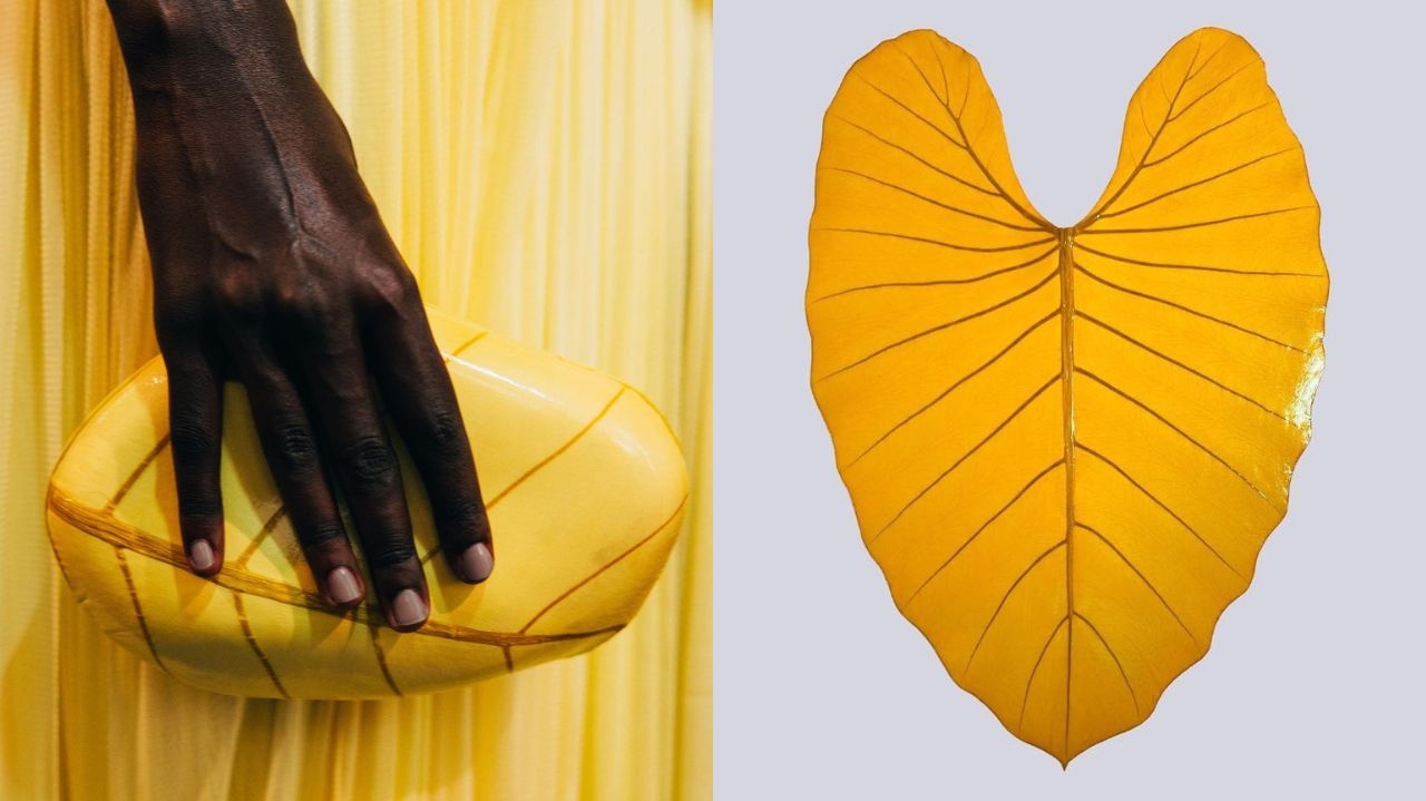 BeLEAF: conheça o couro ecológico brasileiro que faz sucesso com as grifes