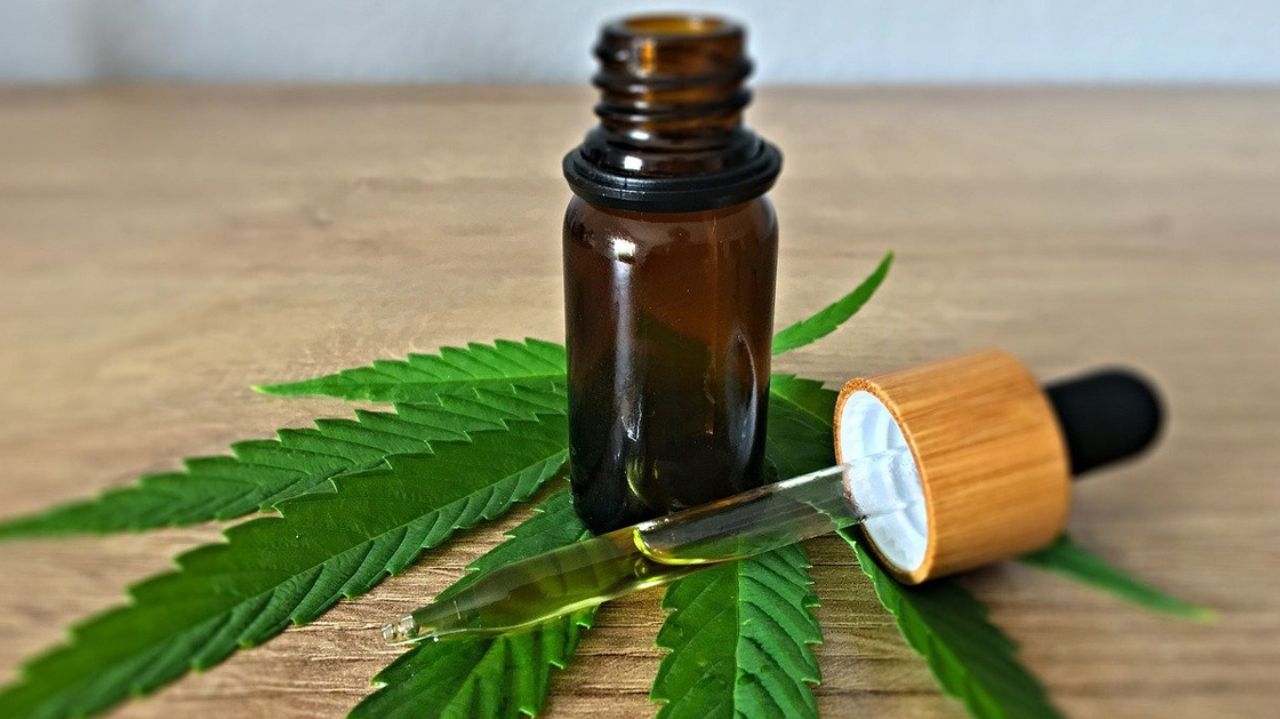 Tabu e o crescimento científico da maconha medicinal