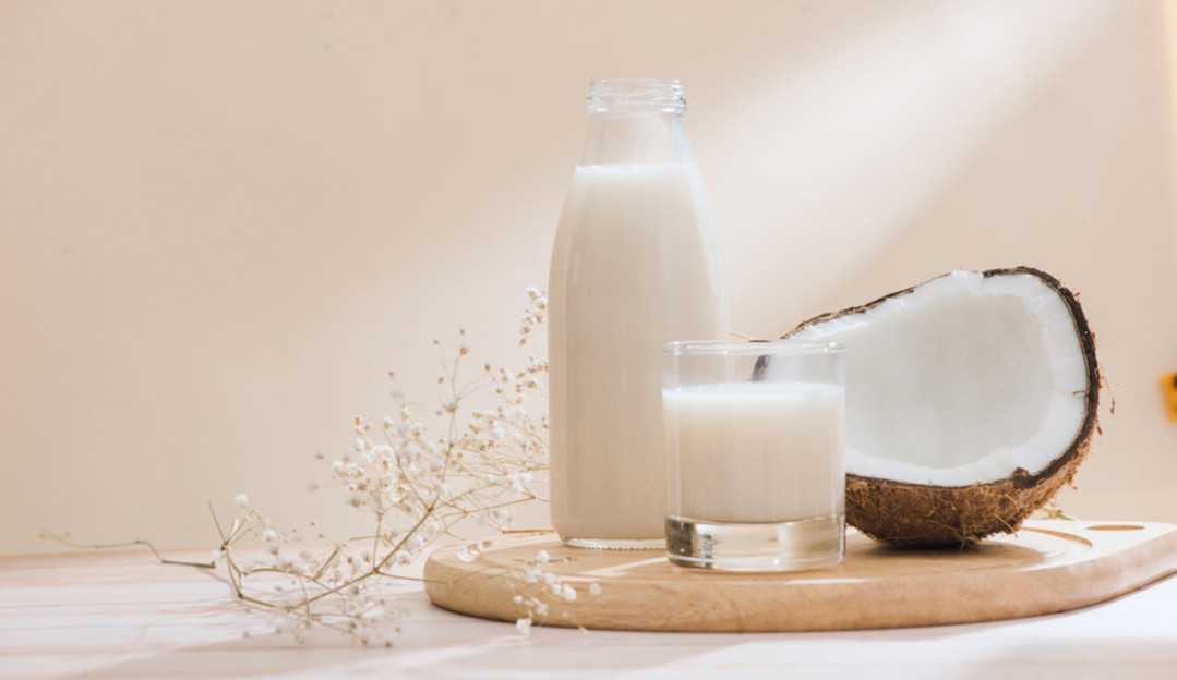 Três receitas com leite de coco para os seus cabelos