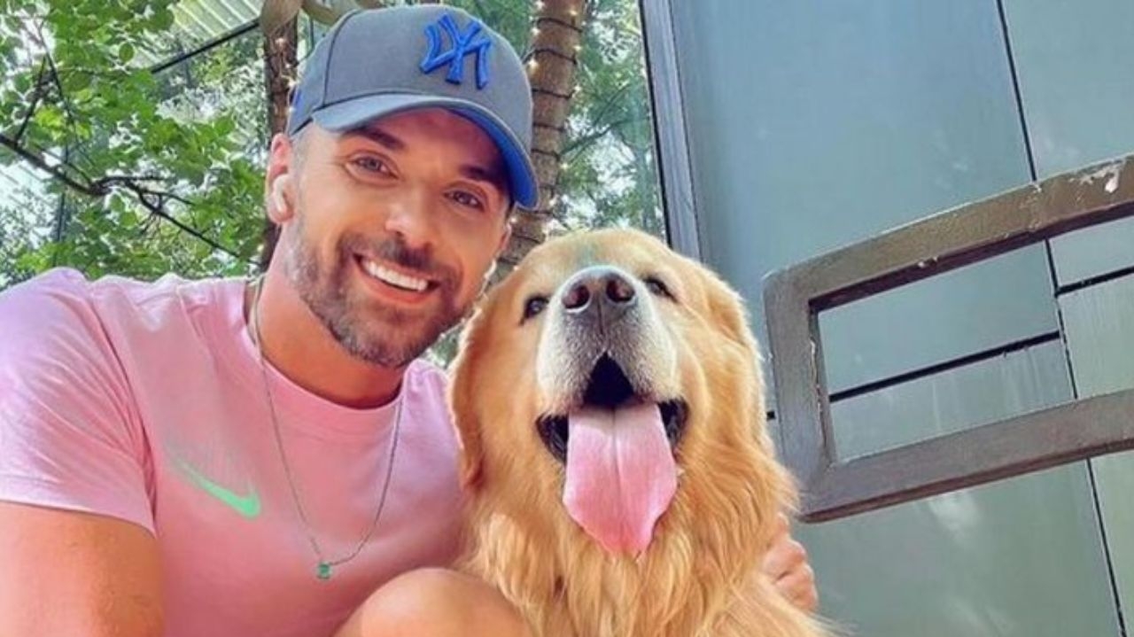 Aprovação da Lei Joca: novas regras para o transporte de animais por companhias aéreas