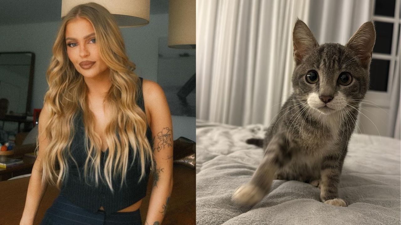 Luísa Sonza adota gatinha que sobreviveu nas enchentes do RS