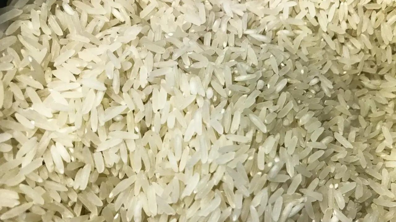 Governo Federal adota subsídios para importação de arroz