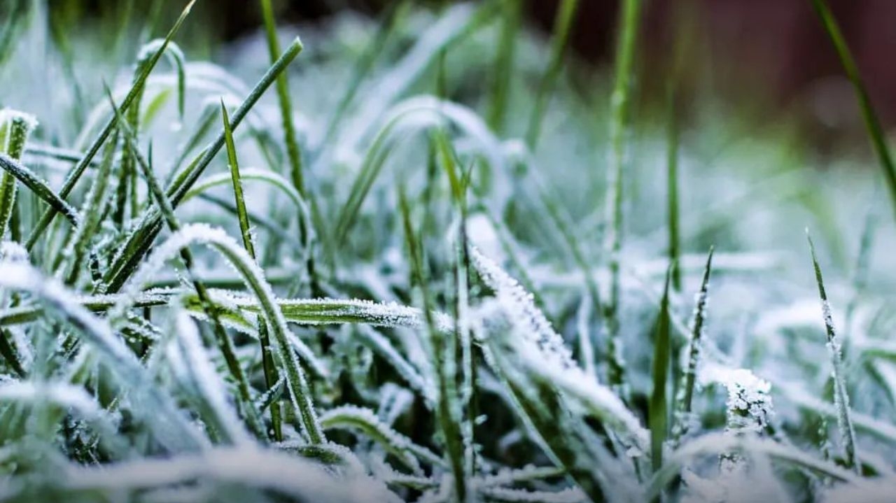 Rio Grande do Sul enfrenta geada e mínimas de 0,3ºC após período de chuvas