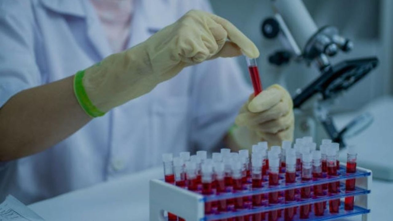 Proteínas no sangue podem antecipar diagnóstico de Câncer em 7 anos