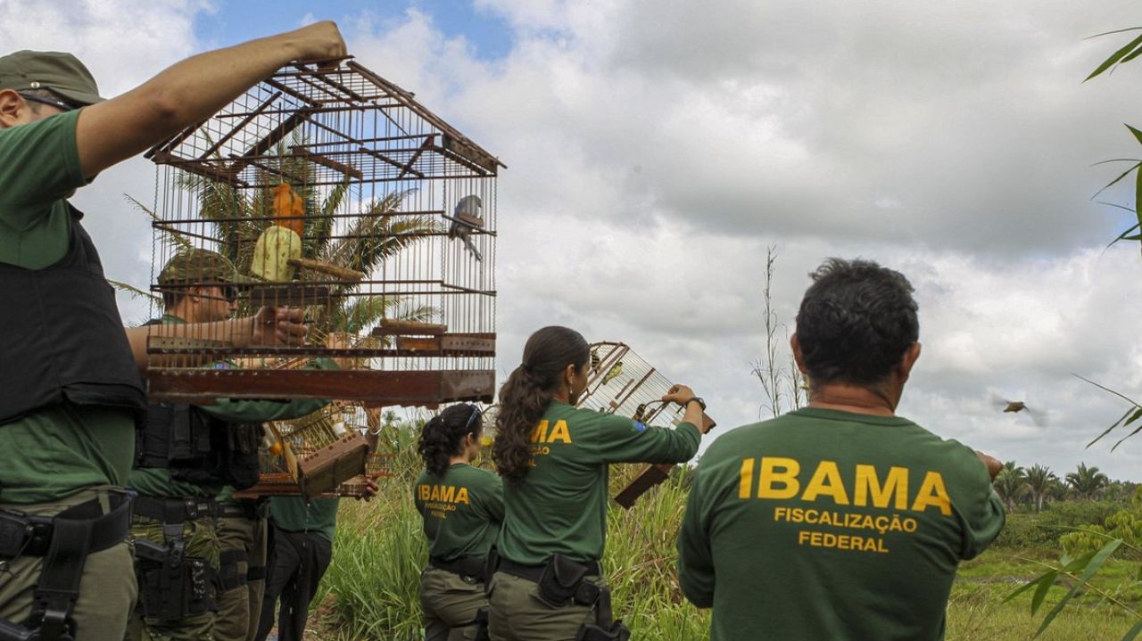 Servidores do Ibama e ICMbio paralisam suas atividades nesta quarta