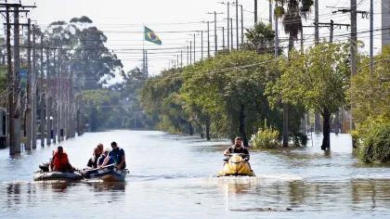 Responsáveis por mortes de animais em pet shops de Porto Alegre são indiciados
