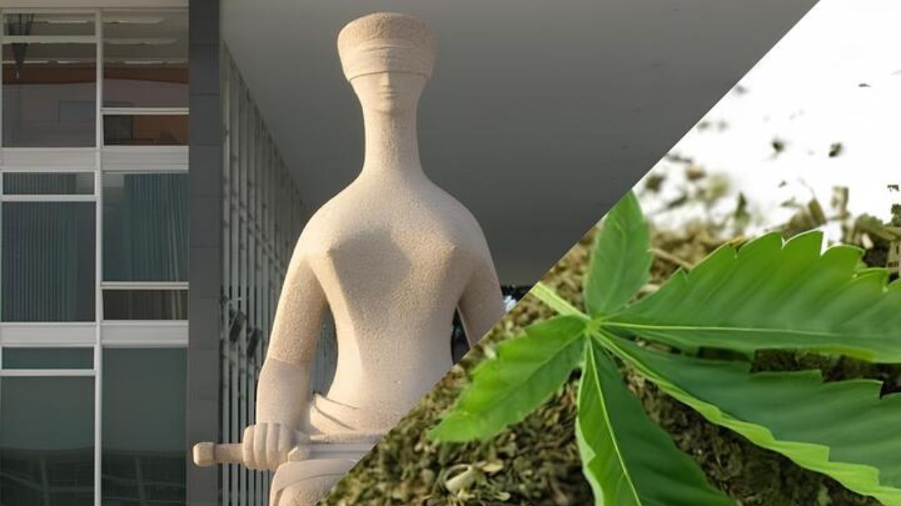 STF determina quantidade de maconha que distingue usuário de traficante