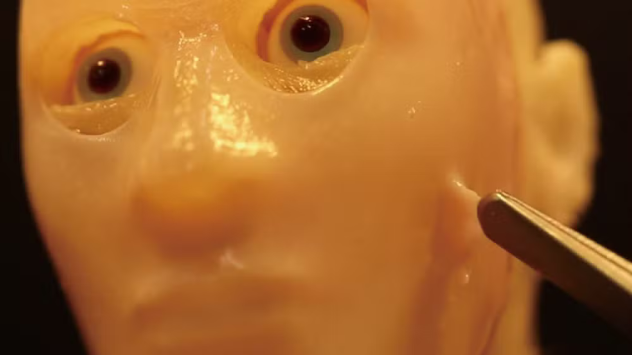 Estudos mostram como robôs japoneses são cobertos com pele viva