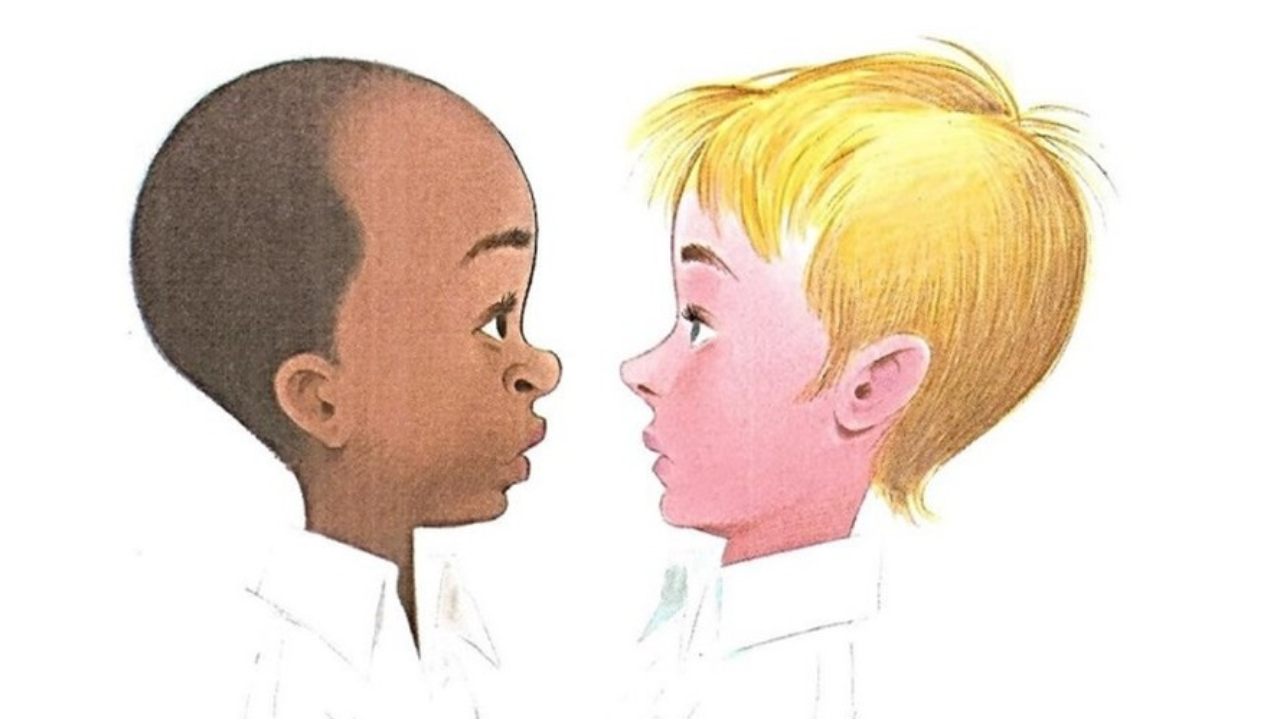 TJMG revoga suspensão de “O Menino Marrom”: livro infantil retorna às escolas