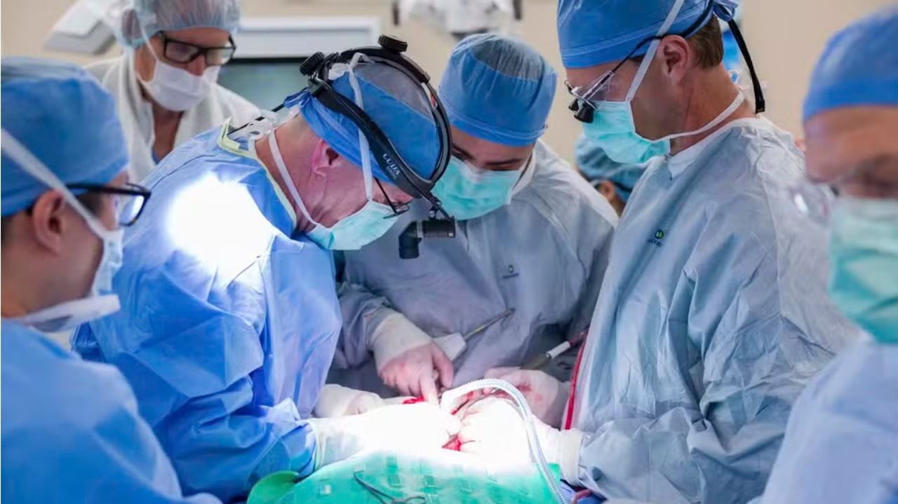 Paciente com câncer recupera fala após raro transplante de laringe